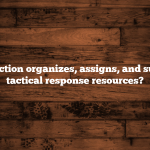 Which section organizes, assigns, and supervises tactical response resources?