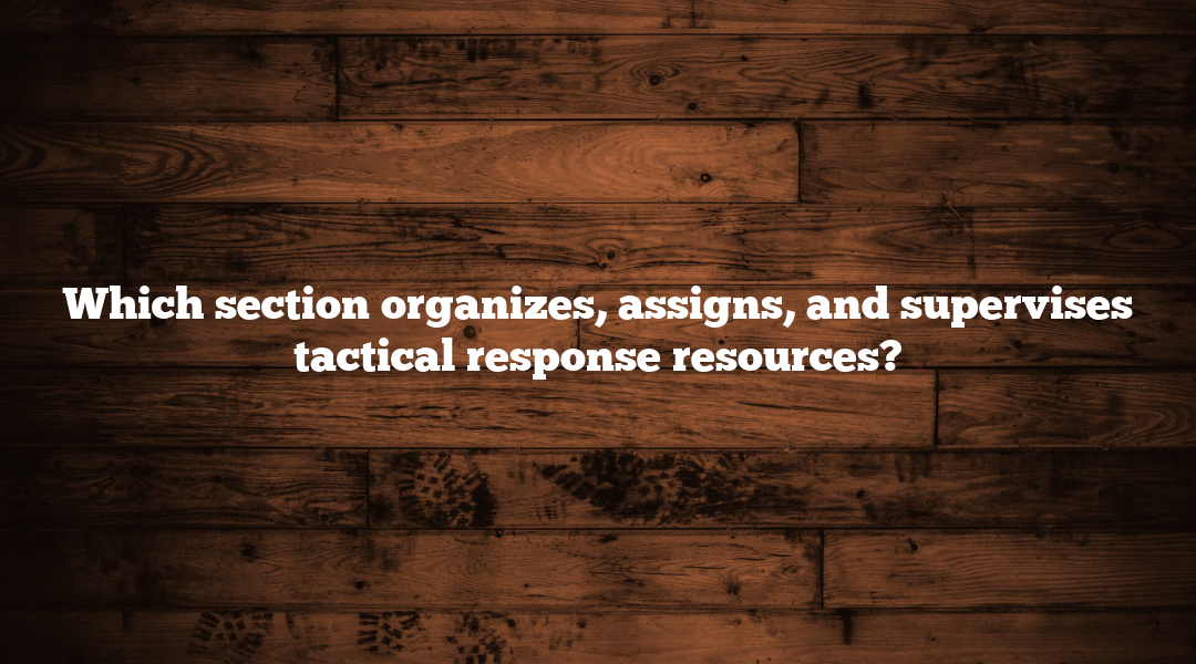 Which section organizes, assigns, and supervises tactical response resources?